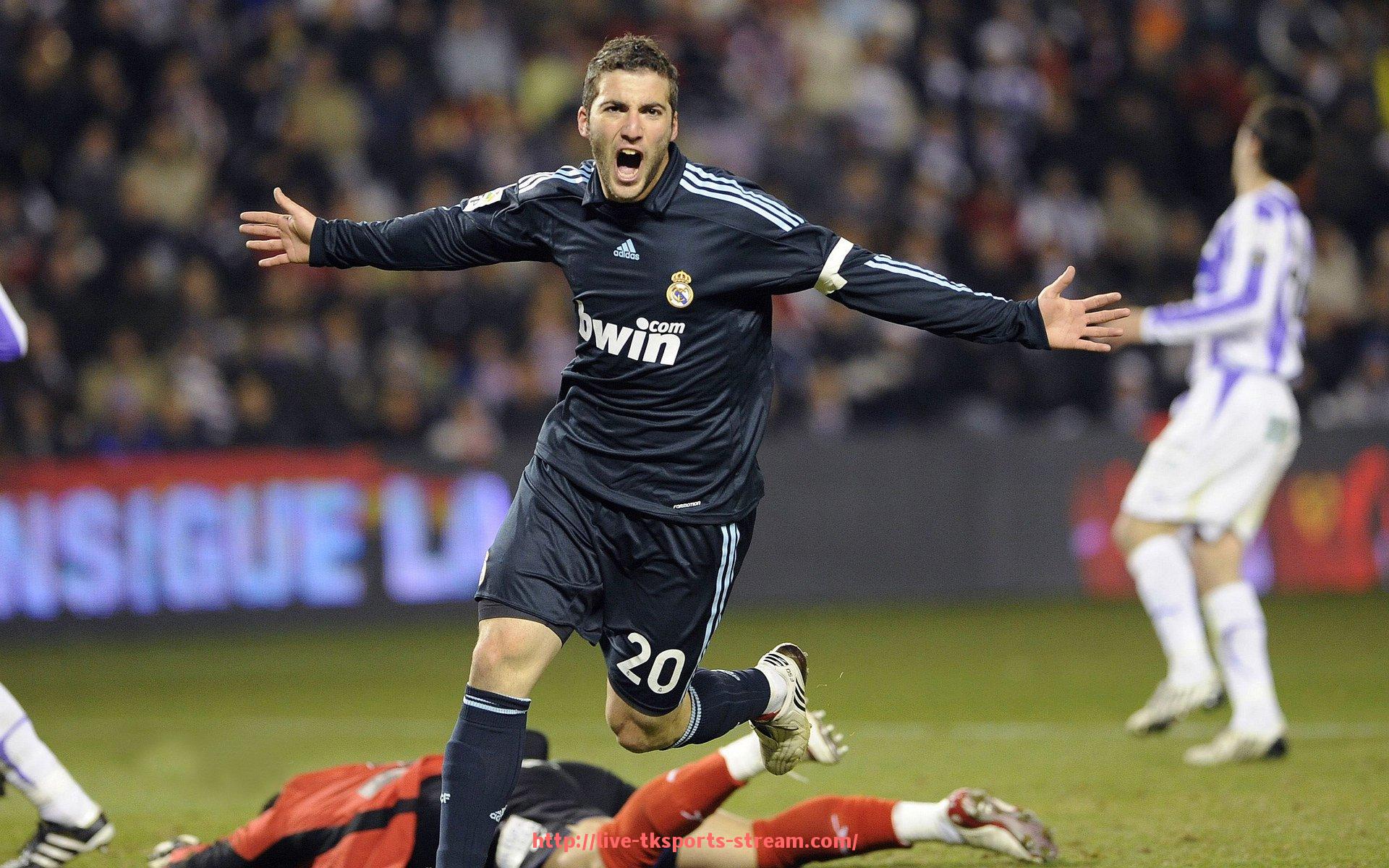 TK体育直播-常见运动型健身器材及其锻炼部位说明